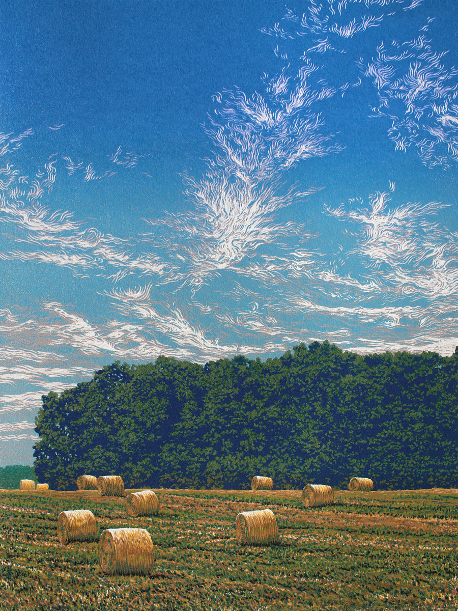 Summer Field