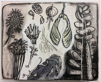 Winter Garden 1