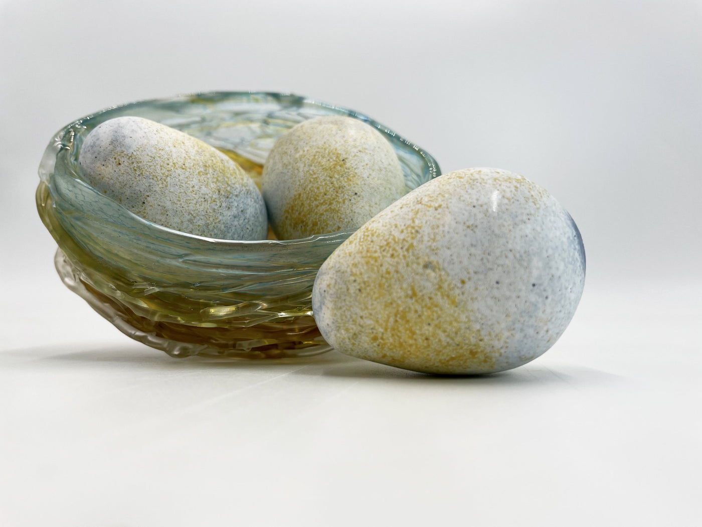 Bird's Nest with 3 Eggs