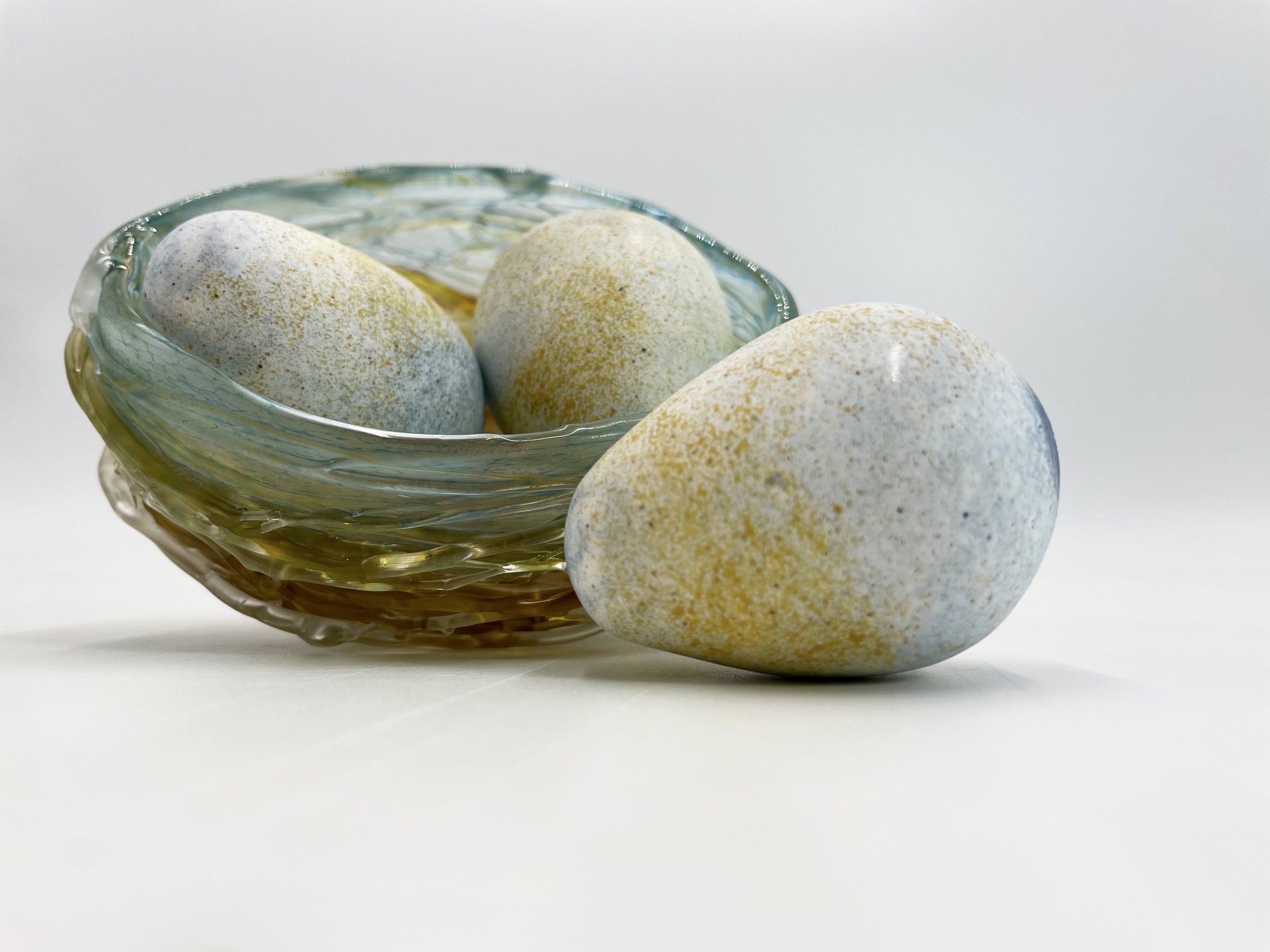 Bird's Nest with 3 Eggs