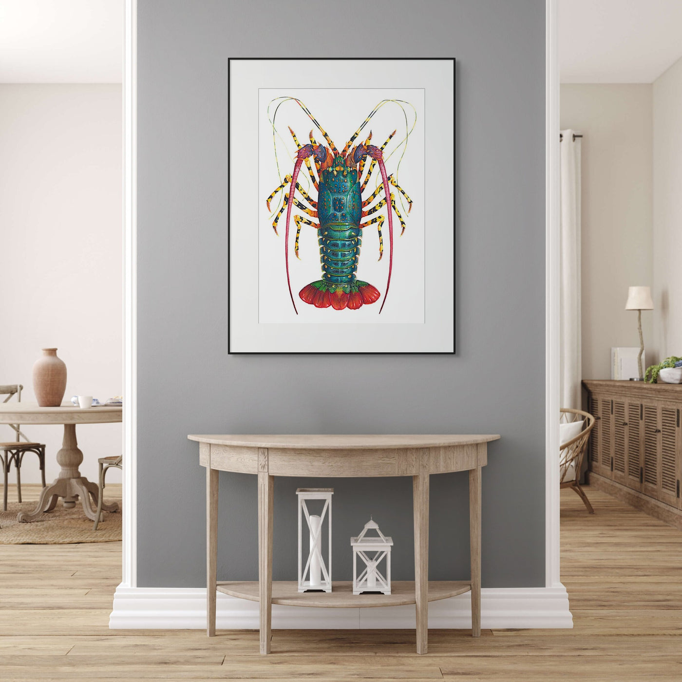 Rainbow Spiny Lobster - Panulirus Ornatus