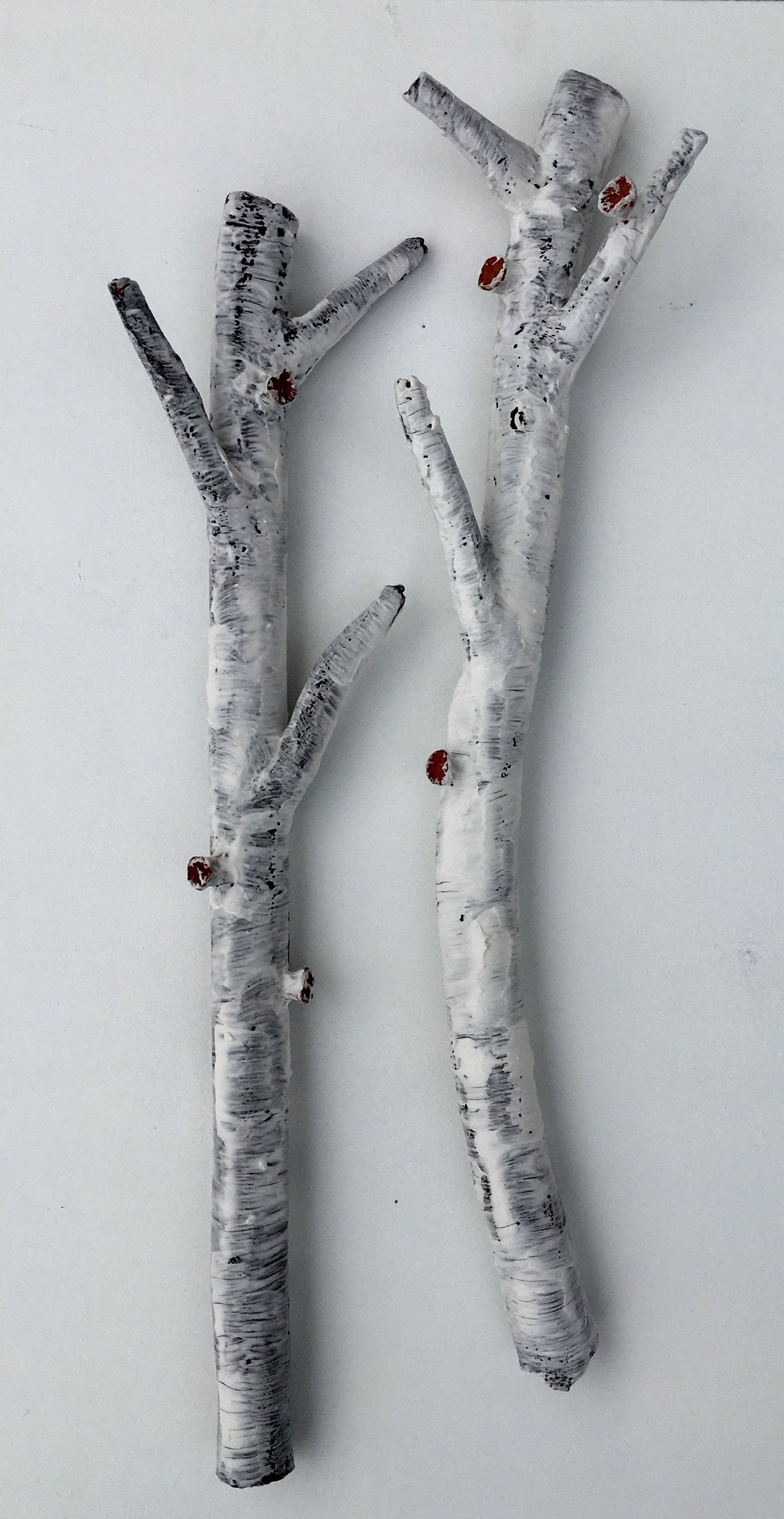 Aspen Branches