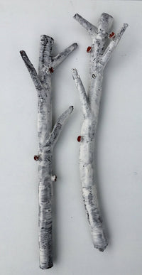 Aspen Branches