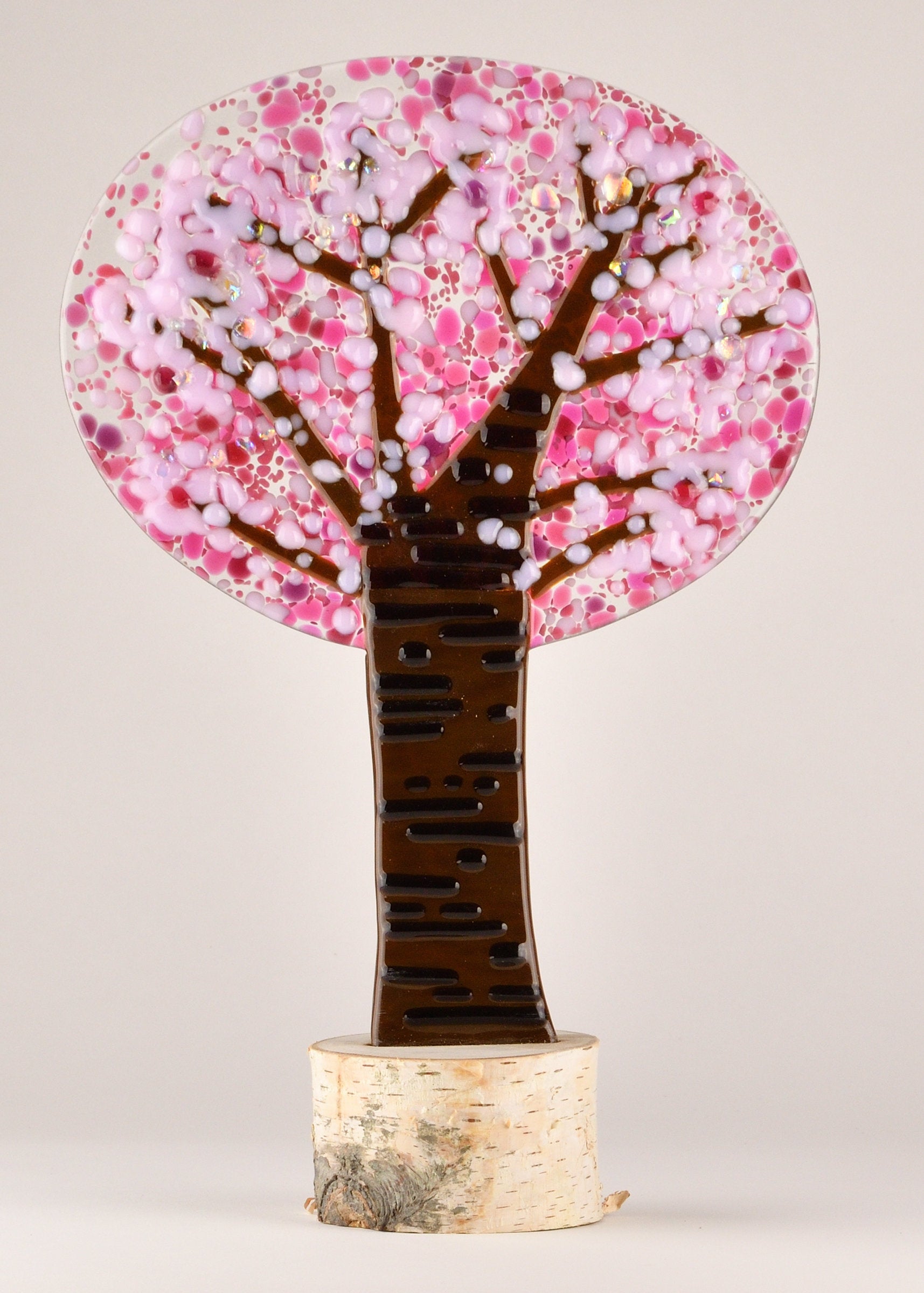 blush blossom tree