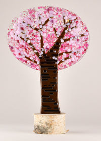 blush blossom tree