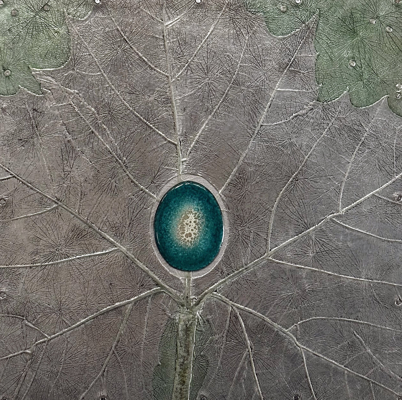 Sycamore