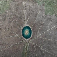 Sycamore