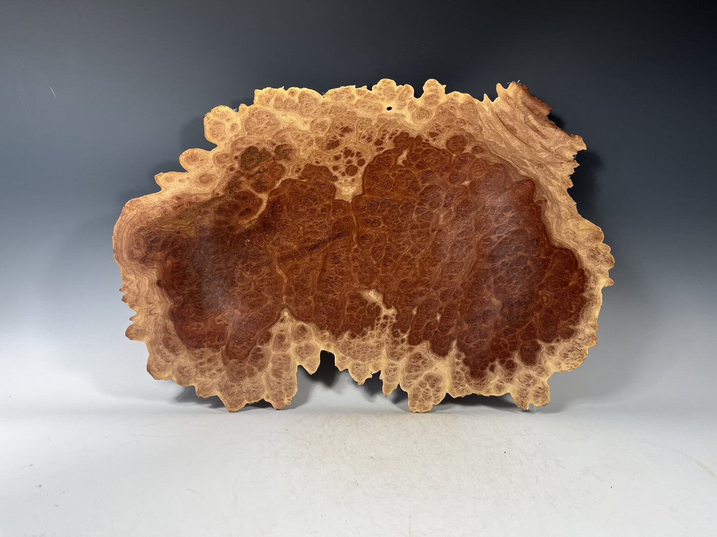 Red Mallee Eucalyptus Burl Bowl II