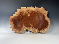 Red Mallee Eucalyptus Burl Bowl II