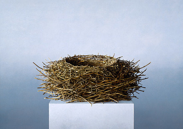 Nest