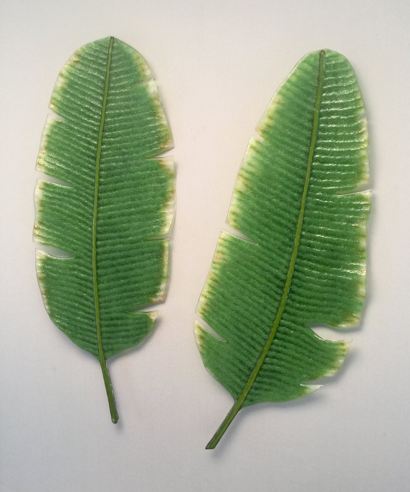 Banana Leaves Set