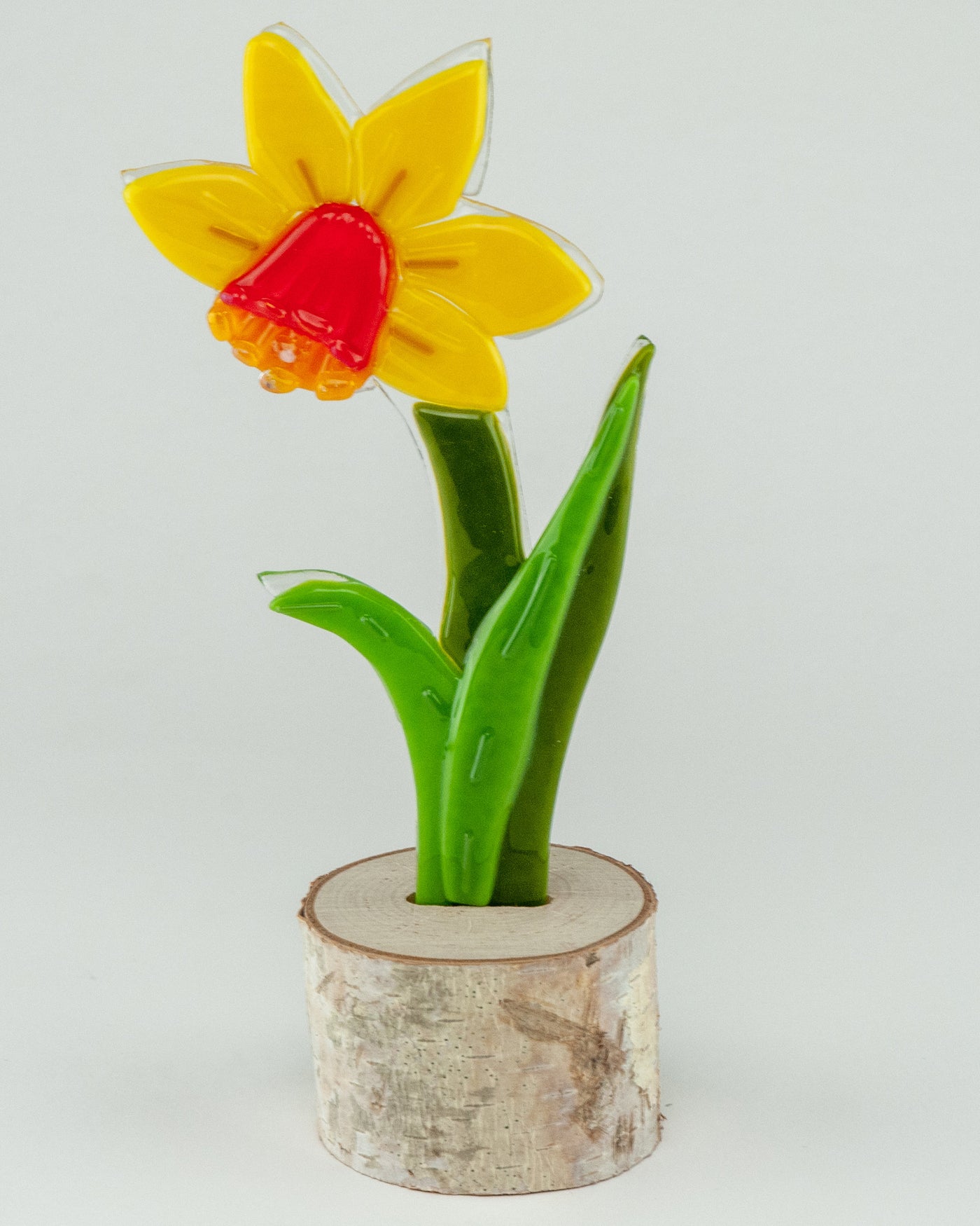 Sunlight Daffodil