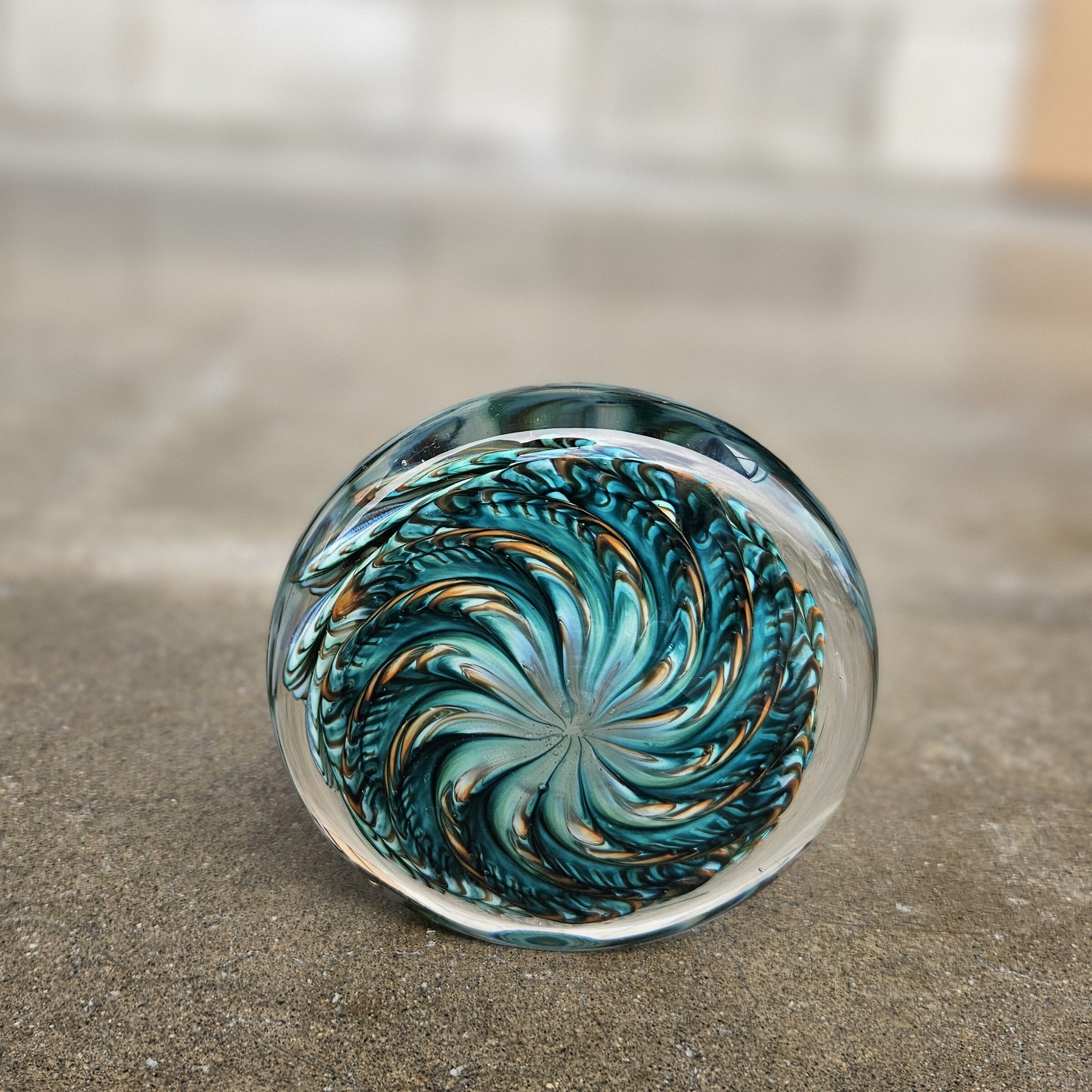 Lagoon Urchin