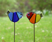 Rainbow Garden Birds