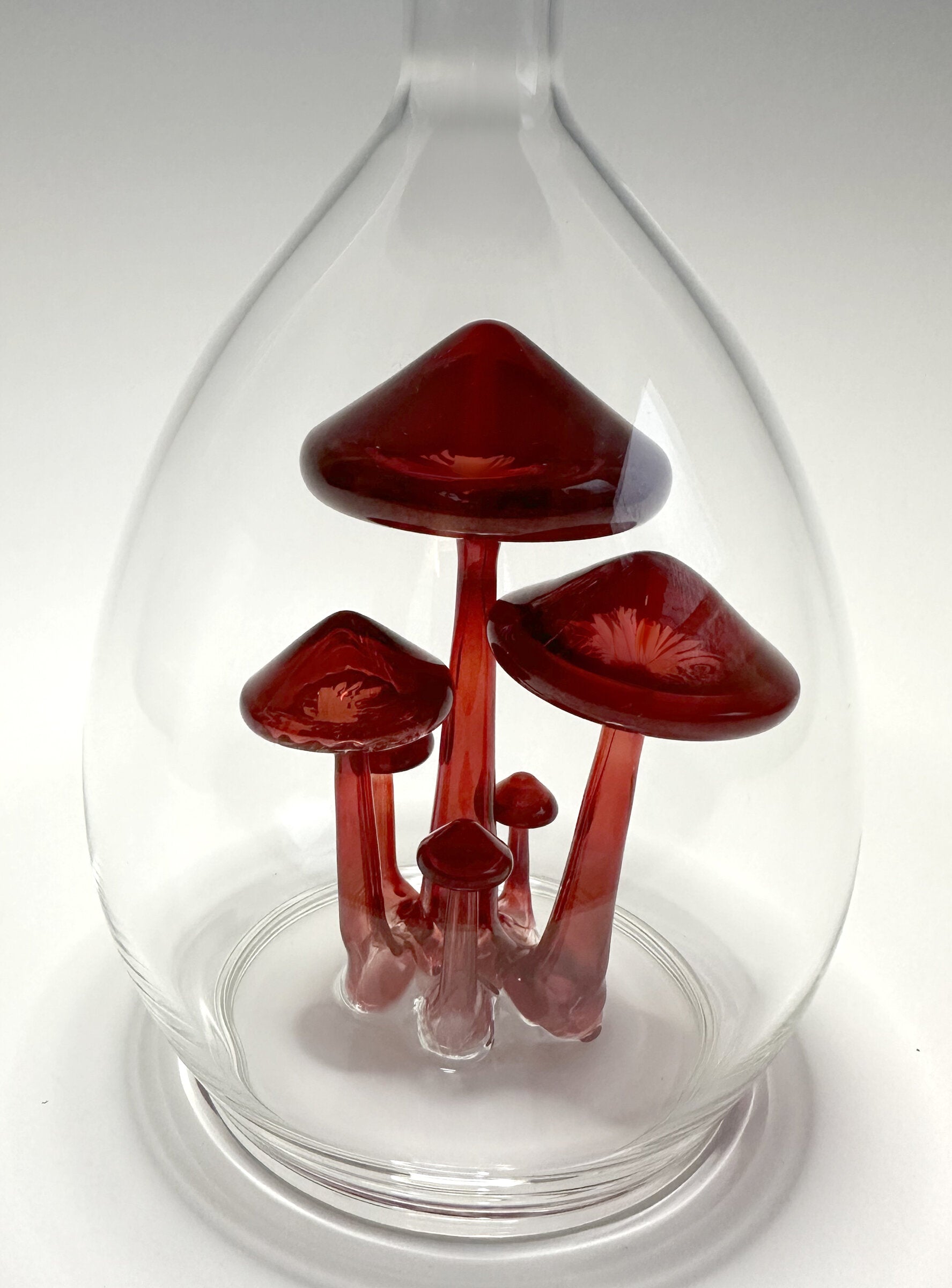 Mushroom Specimen in Long Neck Jar
