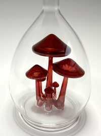 Mushroom Specimen in Long Neck Jar