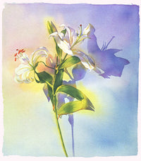 Lily
