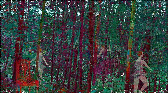 The Secret Forest