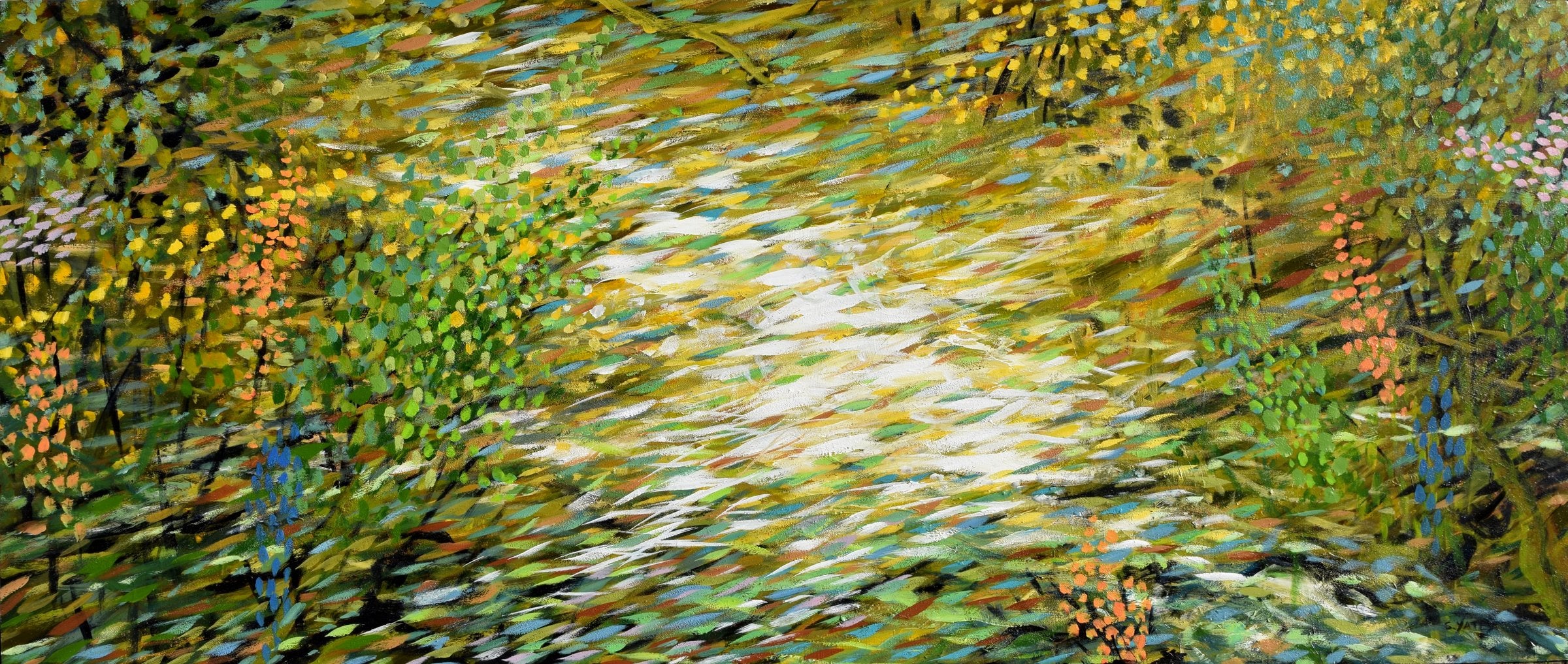 Woodland Stream