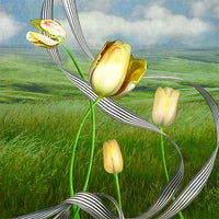 ElevenDays