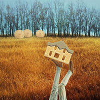 BalancingHouse