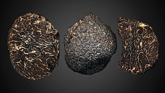 Perigord Black Truffles