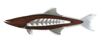 Cobia