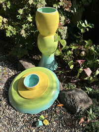 Avian Spa in Goldfinch