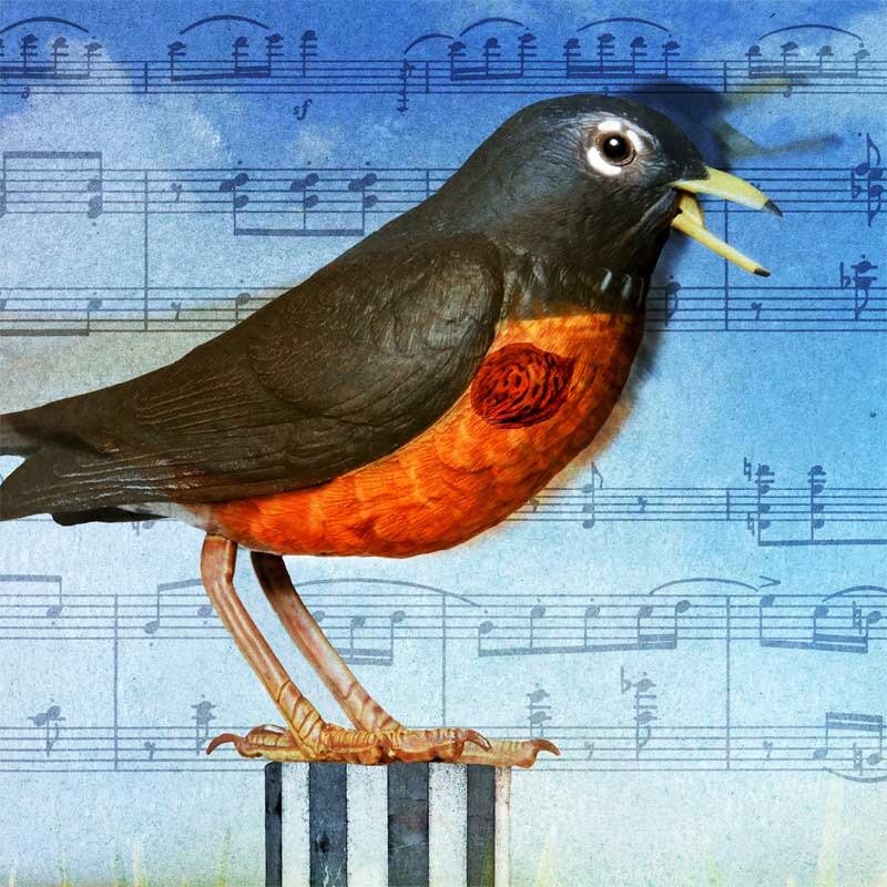 BirdSong