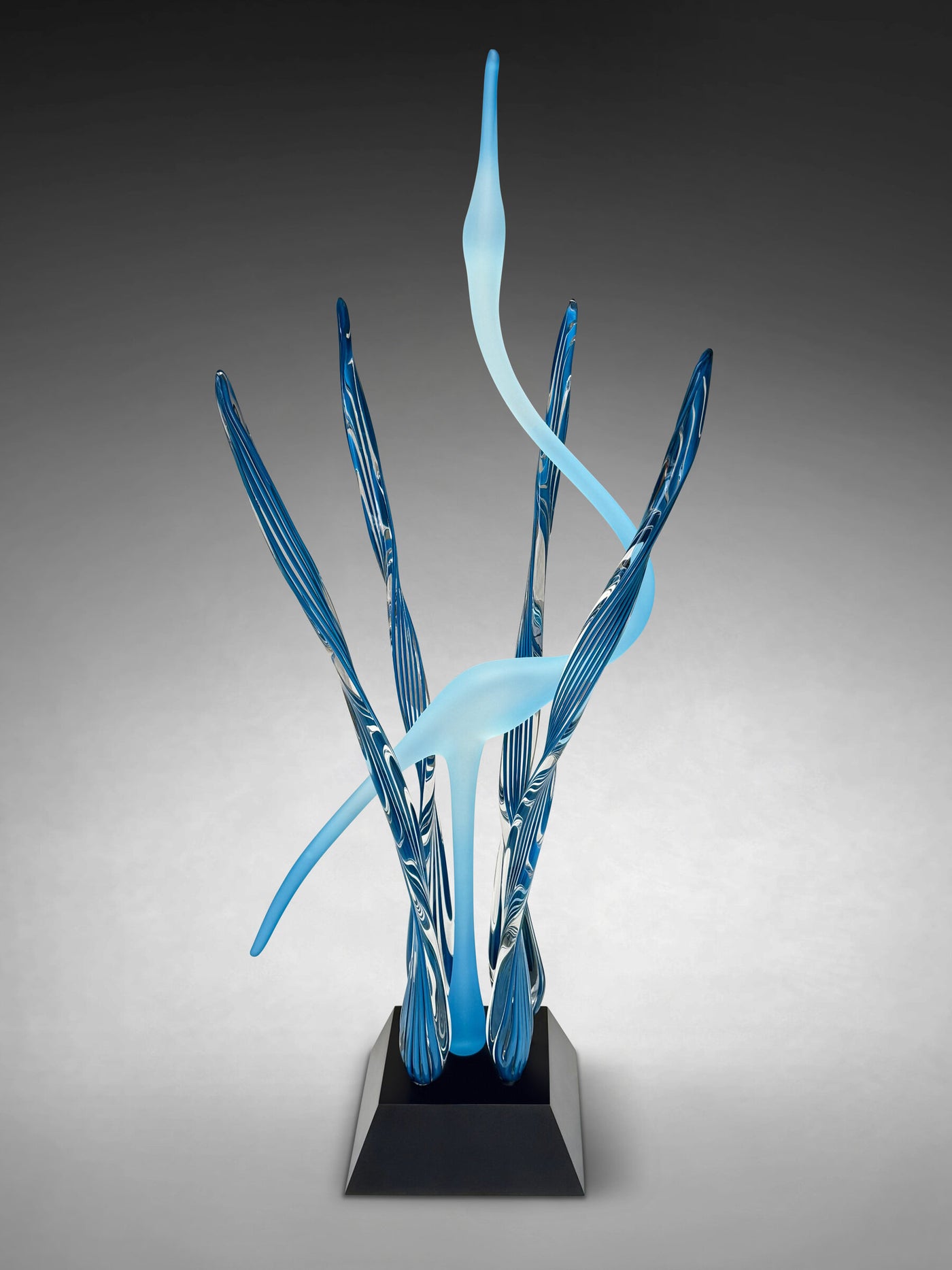 Serene Dance in the Marsh, Deep Sea Aquamarine