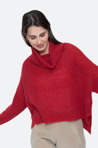 Alpaca Turtleneck Sweater