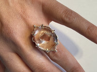 Enchanted Rose Ring