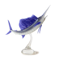 Atlantic Sailfish