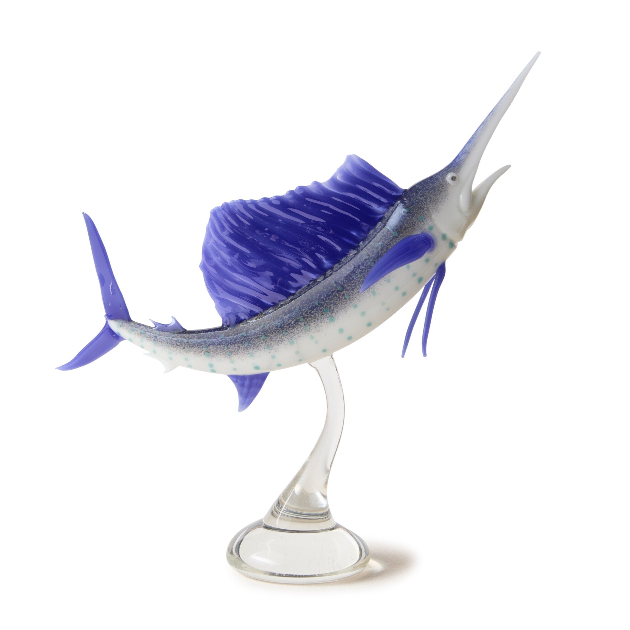 Atlantic Sailfish