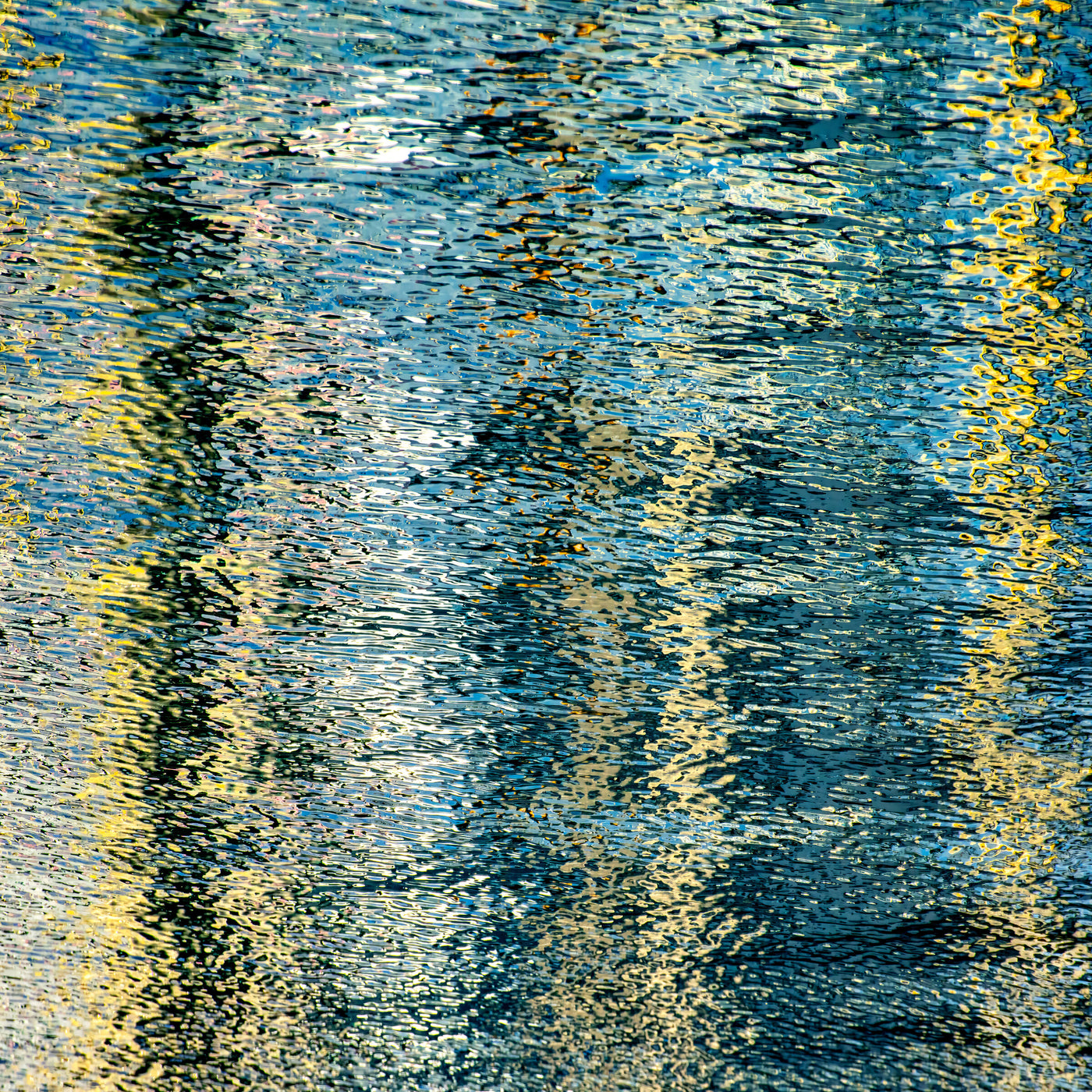 Montauk Harbor Reflection