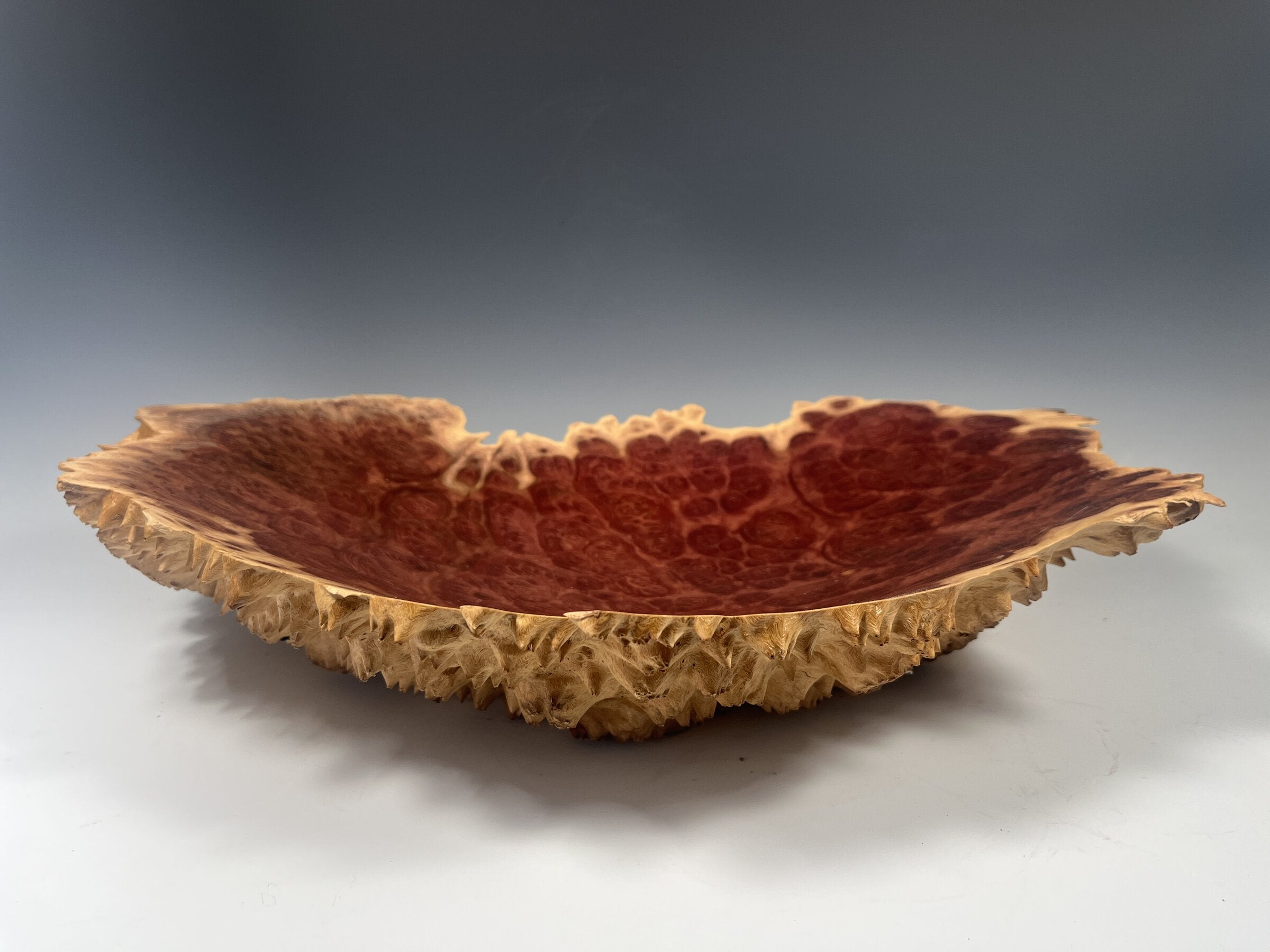 Horistes Eucalyptus Burl Bowl
