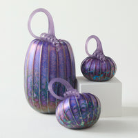 Evening Iris Pumpkin Trio