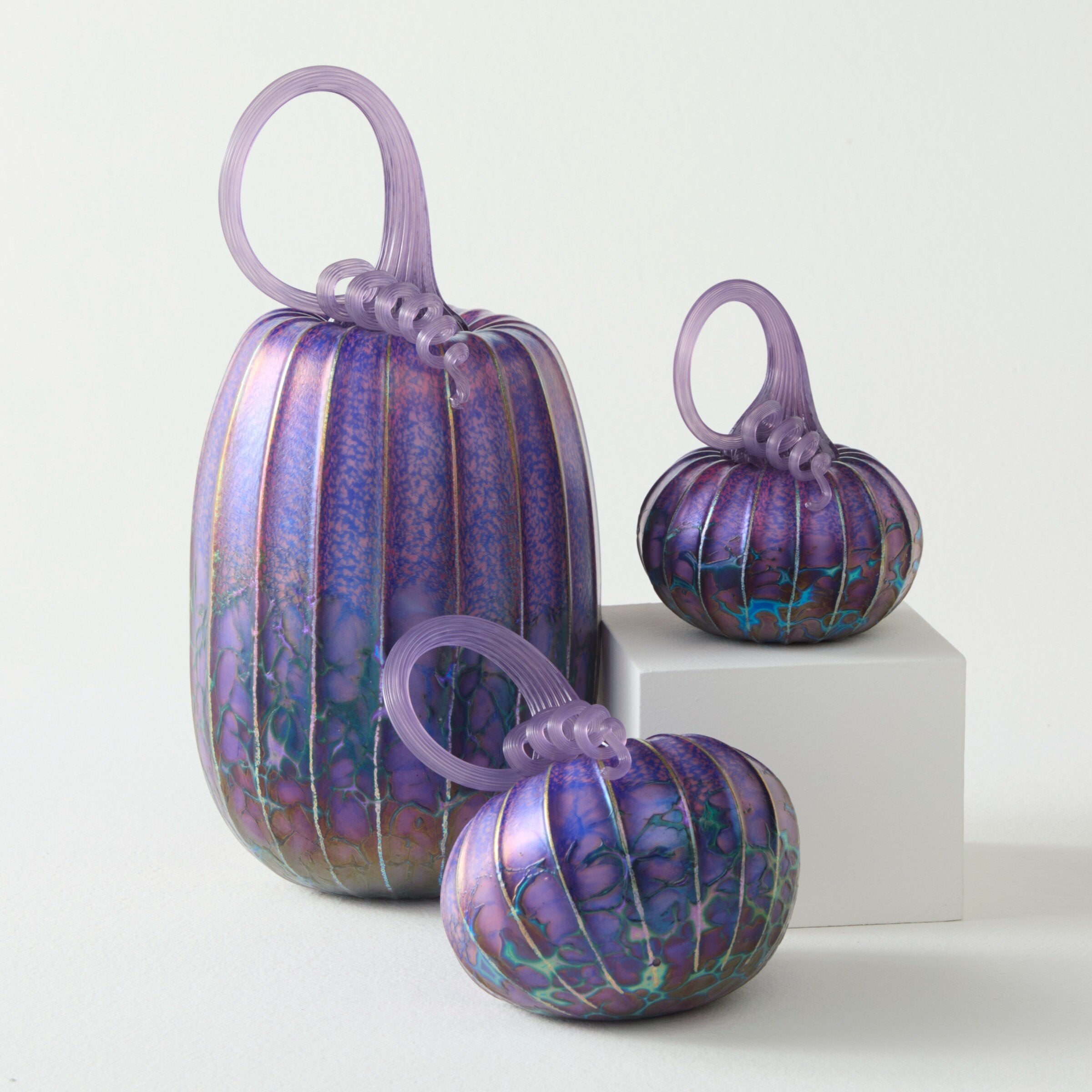 Evening Iris Pumpkin Trio