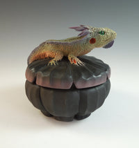 Big Daddy Horned Lizard Box
