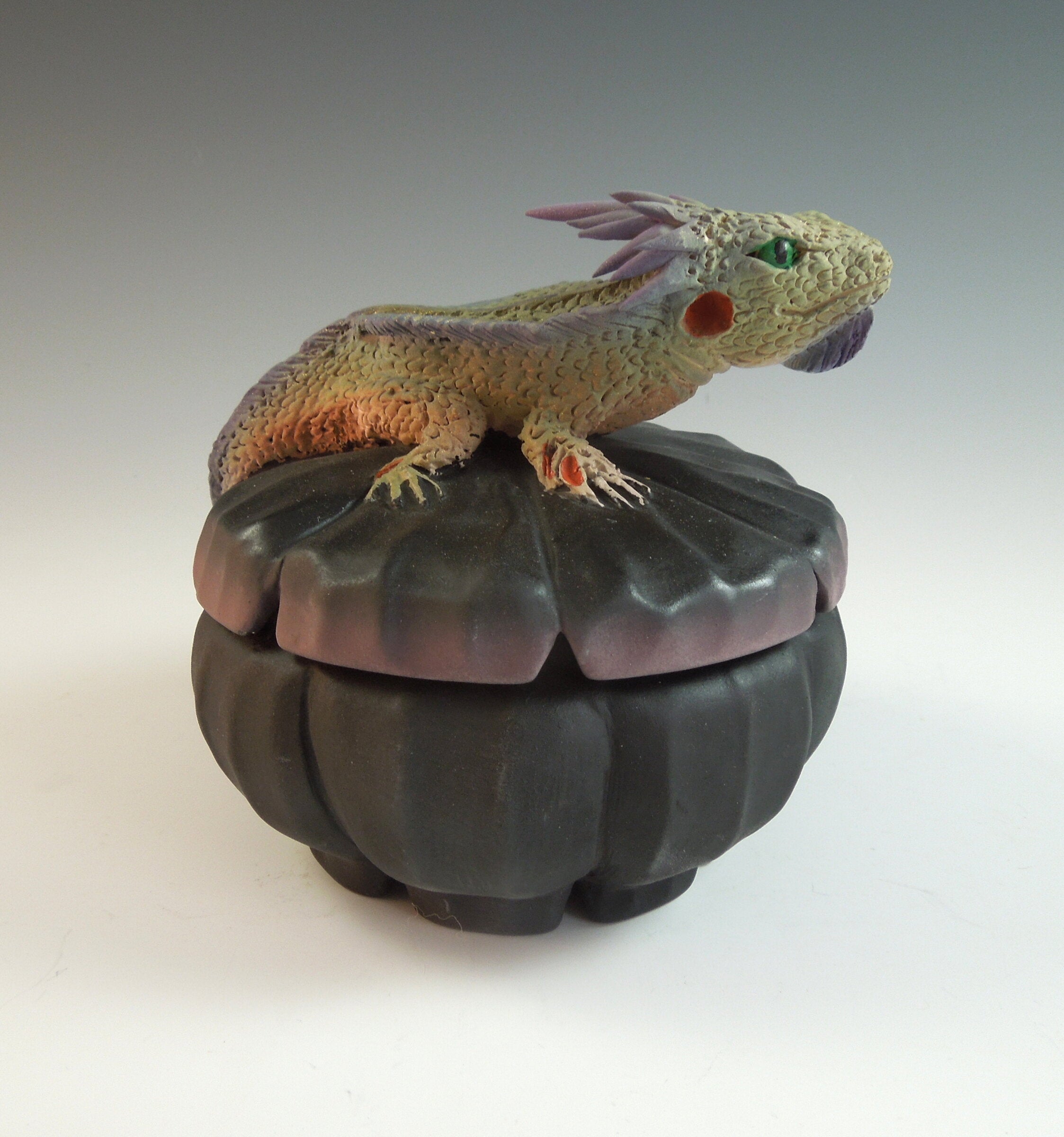 Big Daddy Horned Lizard Box