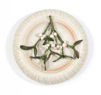 Mistletoe