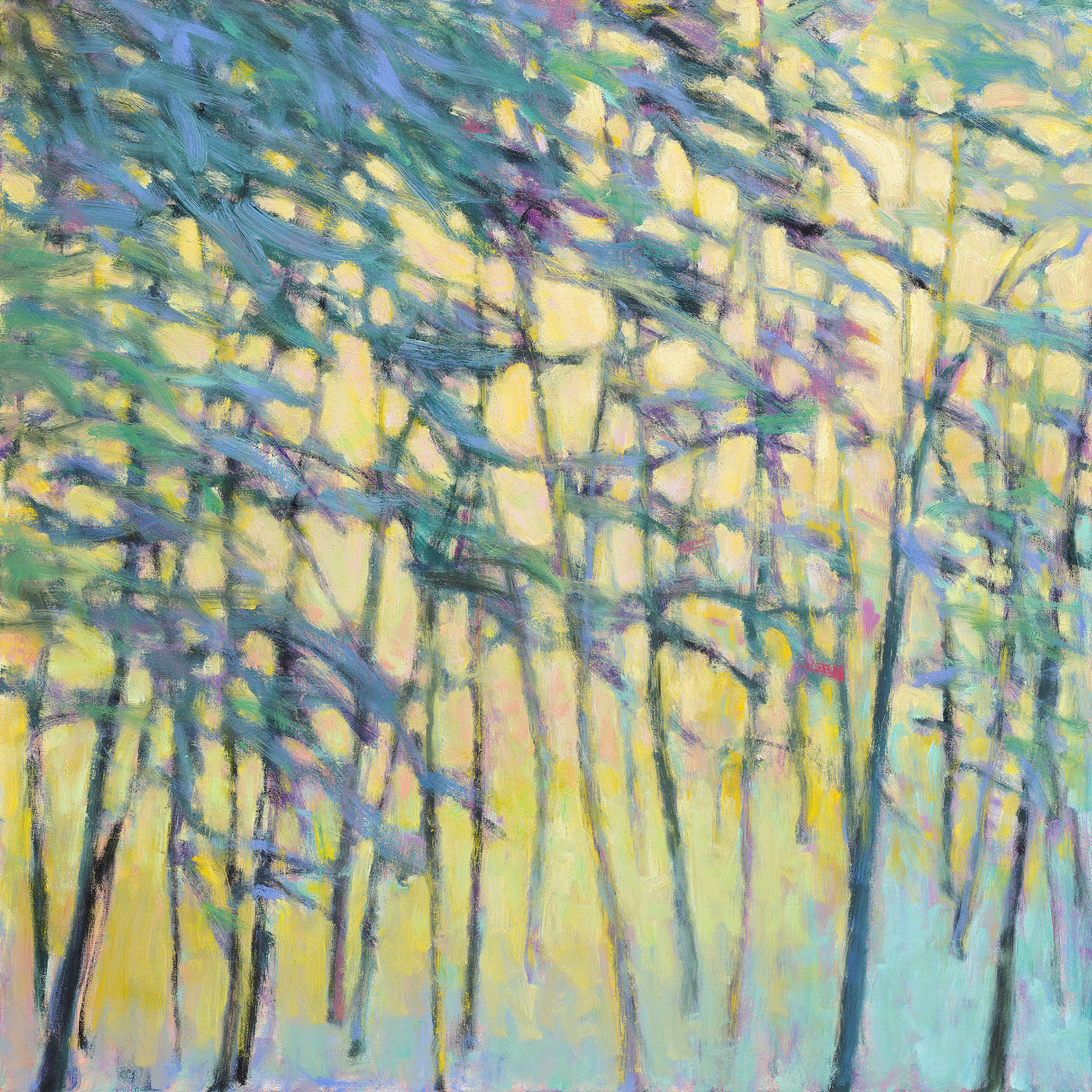 Air Through the Forest