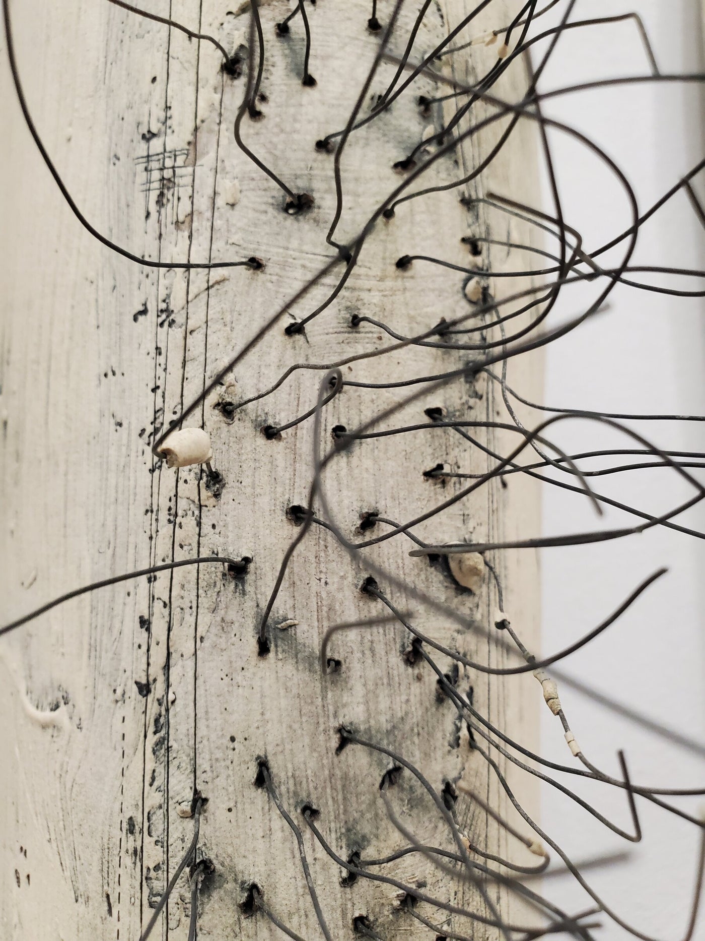 Wiry Pods