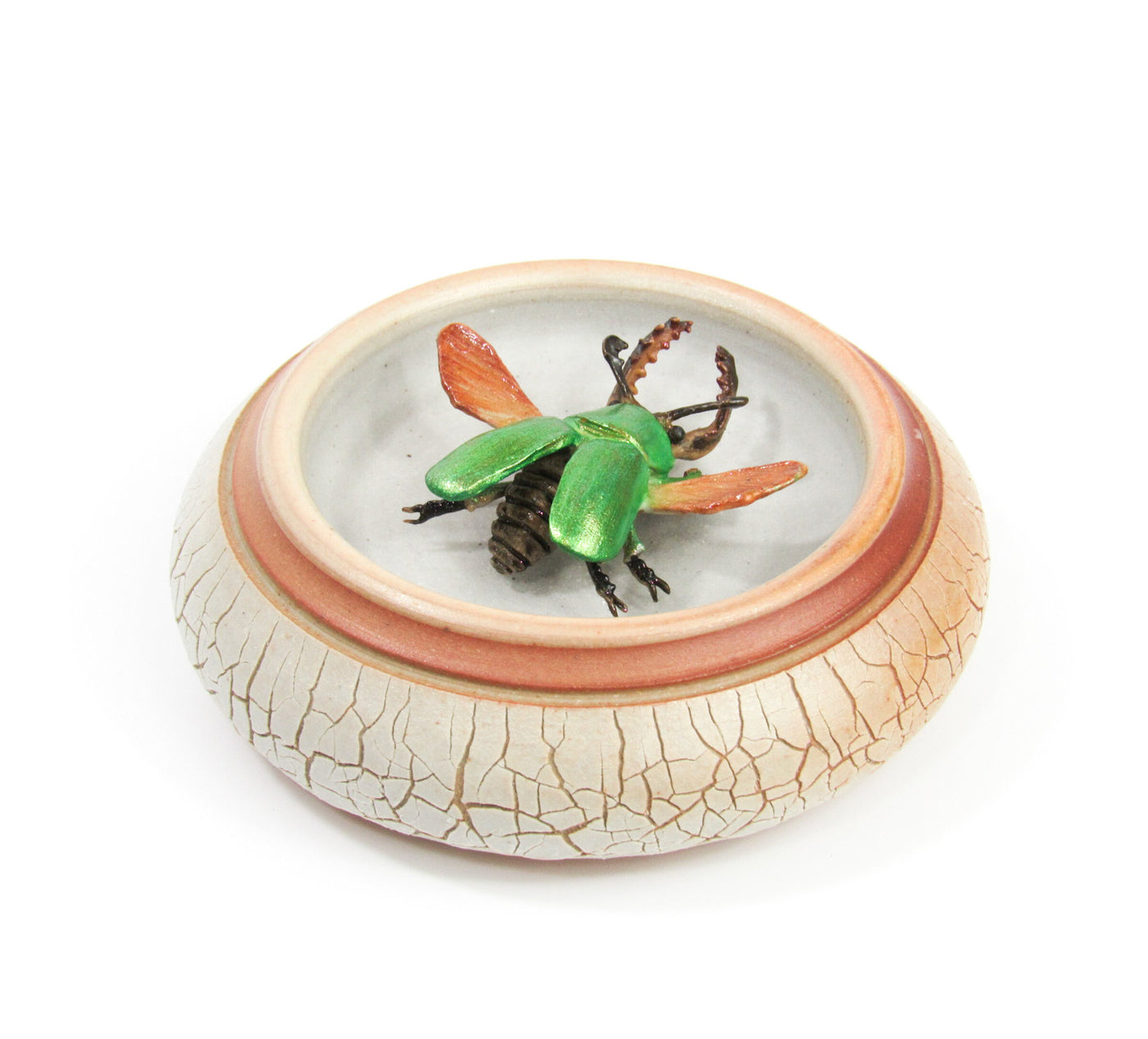 Jeweled Sawtooth Stag Beetle
