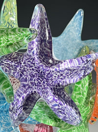 Starfish Cluster III