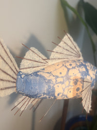 Aqua Koi Lamp