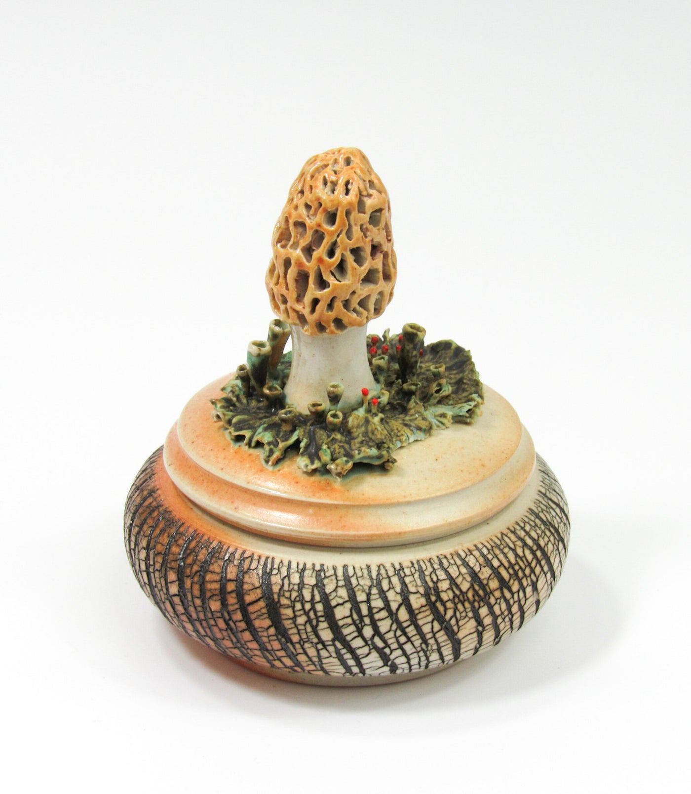 Morel