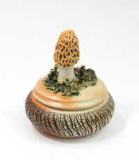 Morel