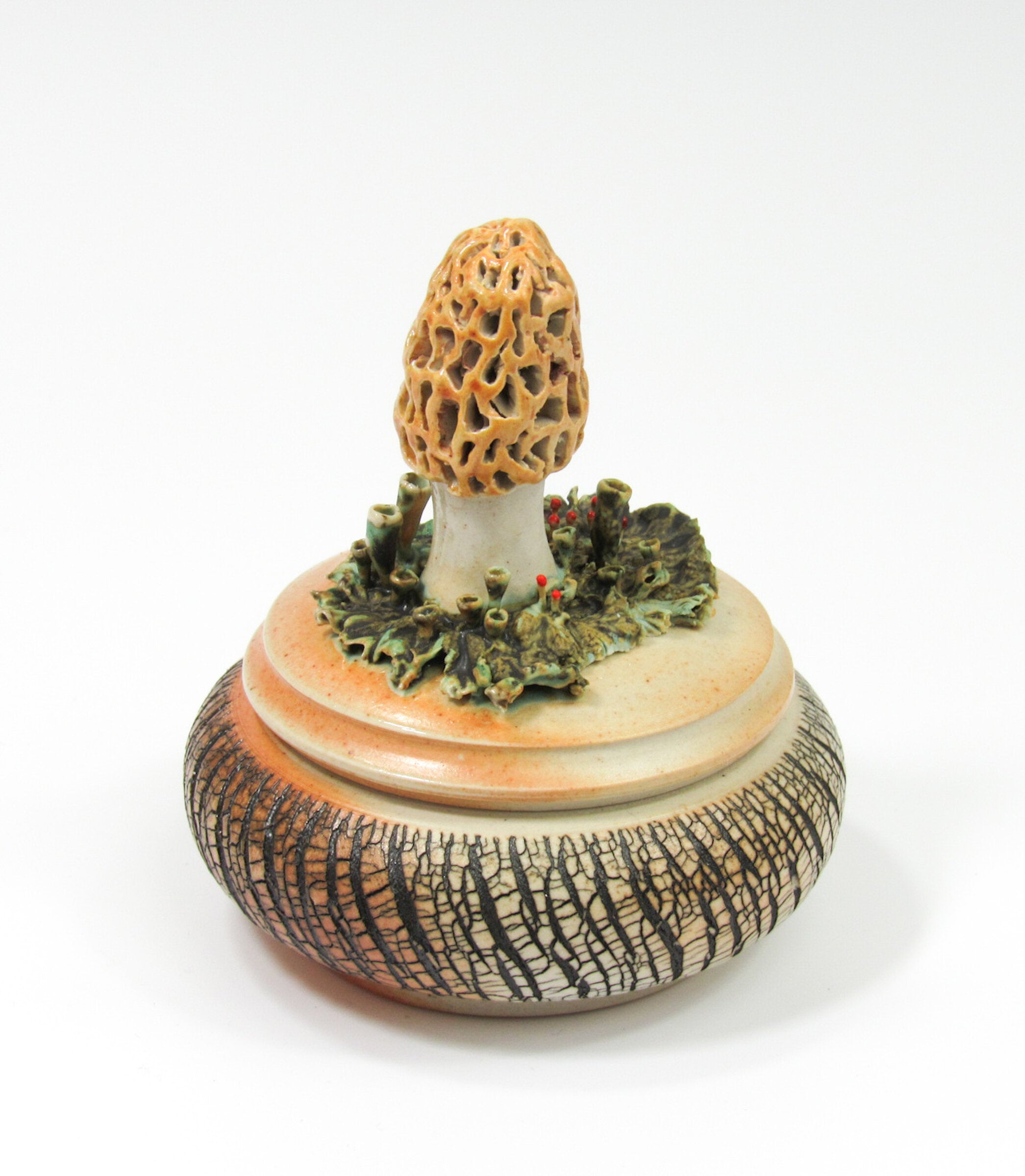 Morel