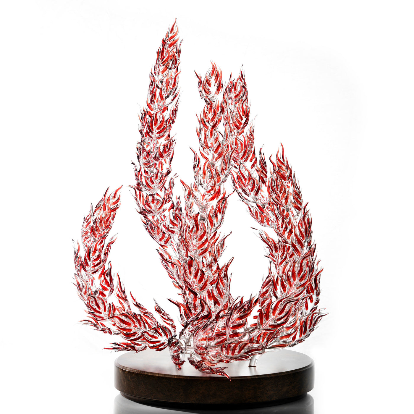 Burning Bush